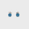 Blue Topaz Silver Earring